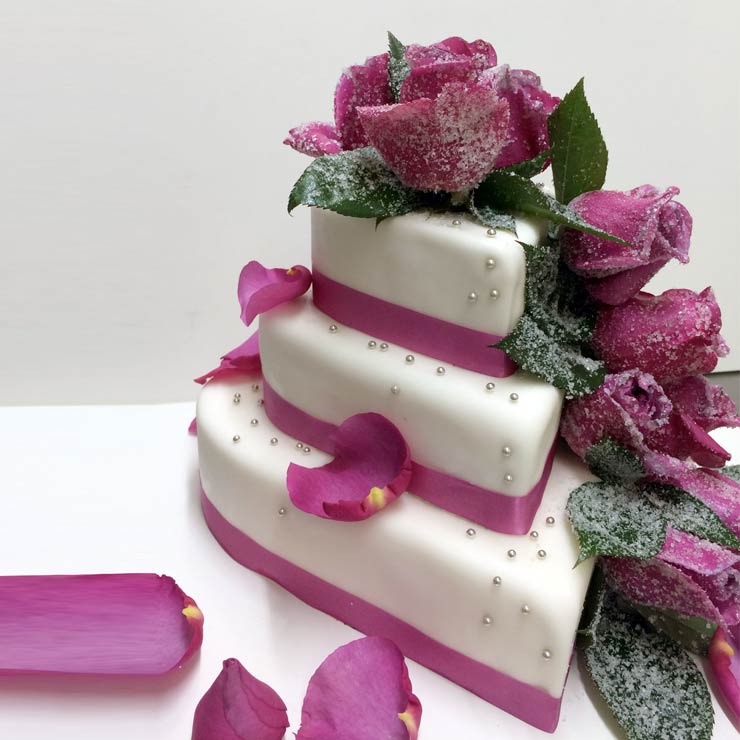 Besondere Hochzeitstorten im Raum München Augsburg